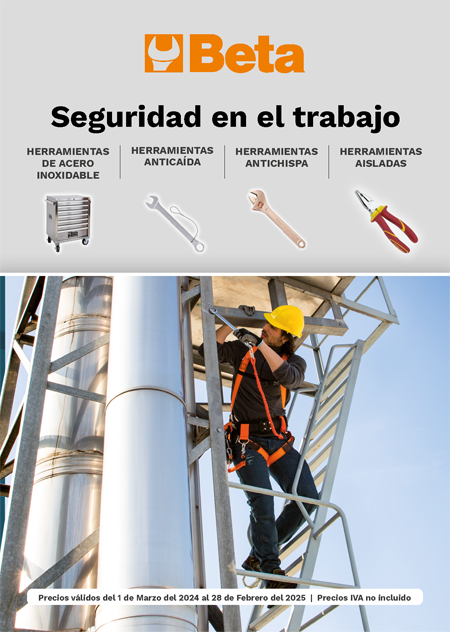 Seguridad Trabajo Beta